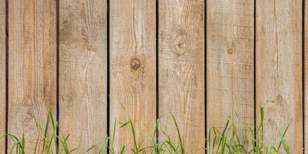Close-up of a wooden fence with grass in the foreground