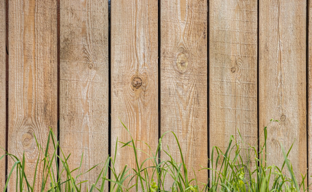Close-up of a wooden fence with grass in the foreground